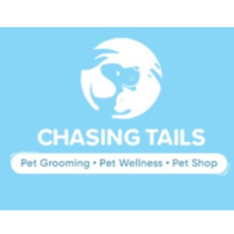 Pet grooming services in Bangalore | Chasing Tails