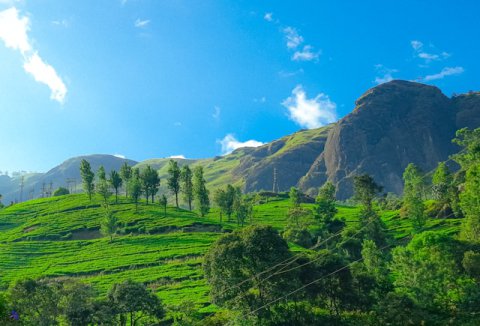 Kerala tour packages from bangalore