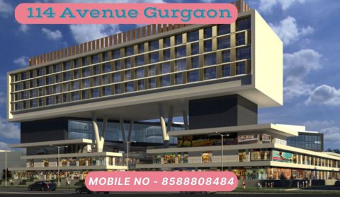 114 Avenue Gurgaon