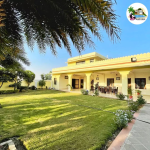 Black Bear Farmhouse – Best Farmhouse in Jaipur