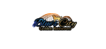 Blues City Golden Retrievers