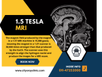 MRI 1.5 Tesla Price Guide What to Expect in 2025
