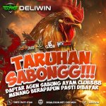 Agen sabung Ayam Terbaik Dan Terpercaya Di Indonesia