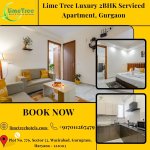 Best Service Apartments in Wazirabad Gurgaon