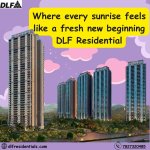 dlf