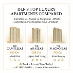 DLF Luxury Living Consultants