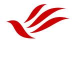 raunaqsteels