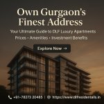 DLF Luxury Spaces Gurgaon