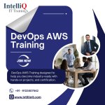 Educational Institutions - IntelliQ IT Trainings