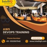 Educational Institutions - IntelliQ IT Trainings