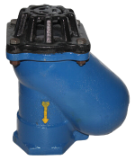 Ball Type Foot Valve Screwed End