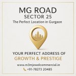 Gurgaon Prime Commercial Realty
