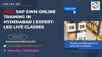 Advance Your SAP Career with SAP EWM Online Training in Hyderabad