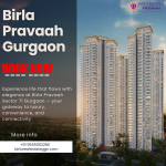 birla pravaah gurgaon