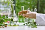 Plant Extract Manufacturers