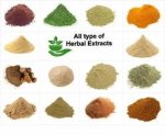 Plant Extract Manufacturers