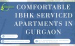 Well-Connected 1BHK Service Apartment in Gurgaon for Daily Convenience