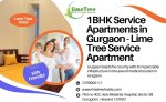 1BHK Service Apartments in Gurgaon - Lime Tree Service Apartment