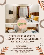 Comfortable 1BHK Serviced Apartment Near Artemis Hospital Gurgaon for Convenient Living