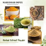 Botanical Extract Manufacturers