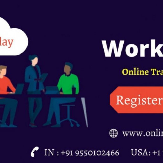 Workday training online | workday online training hyderabad
