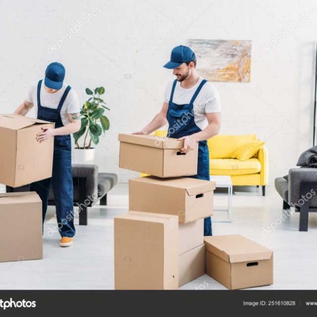Phoenix logistics India Packers and Movers