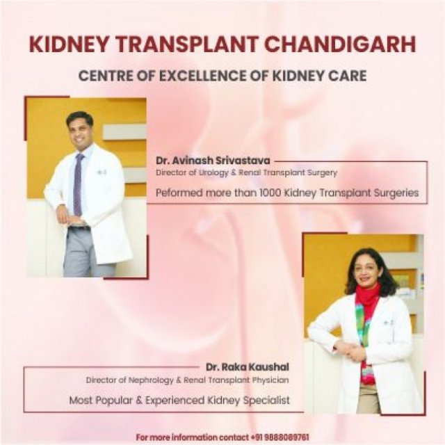 Kidney Transplant Chandigarh Hospital
