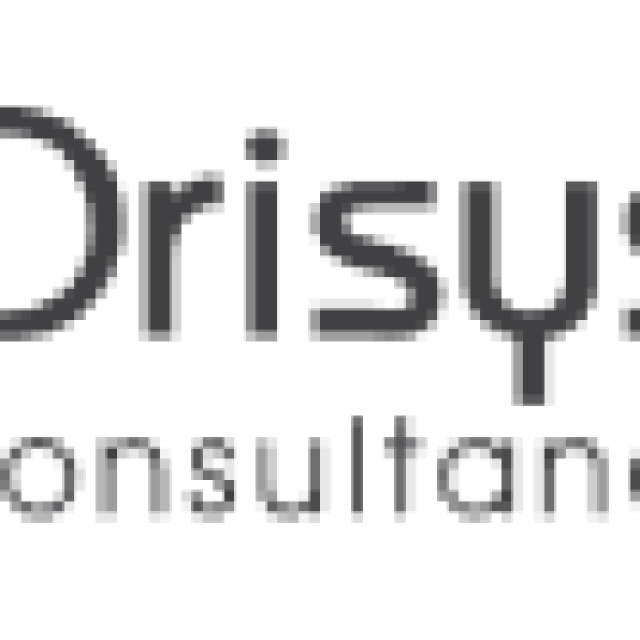 OrisysIndia Consultancy Services