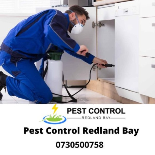 Pest Control Redland Bay