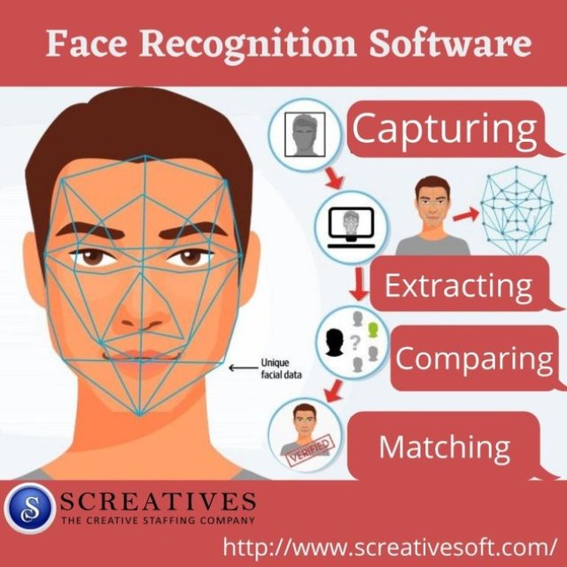 screative software services private limited