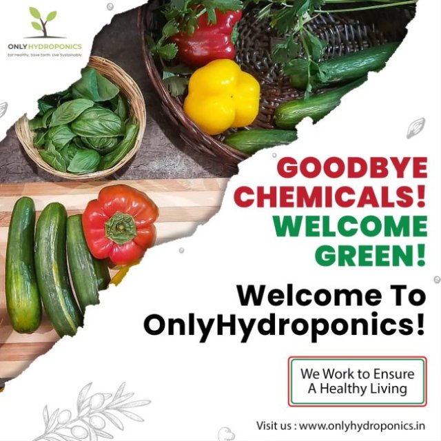 OnlyHydroponics
