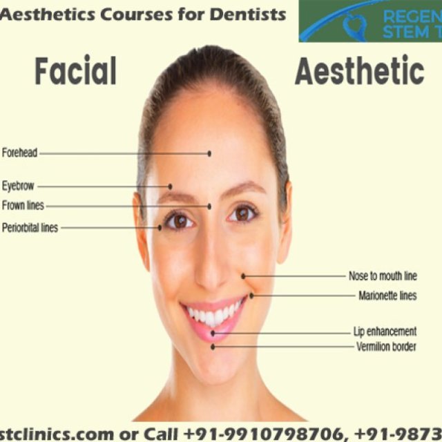 Facial Aesthetics Courses for Dentists