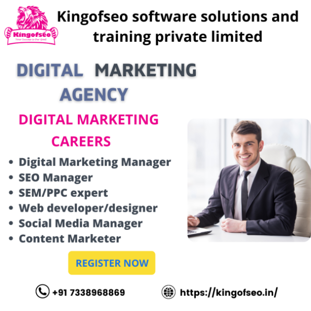 kingofseo software solutions and training private limited
