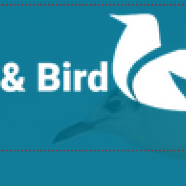 Nets and Bird India Pvt Ltd
