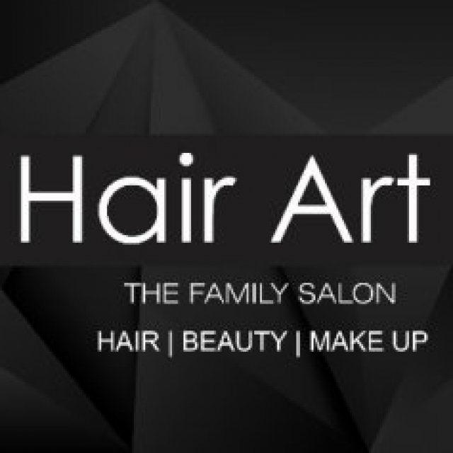 hair art the family salon