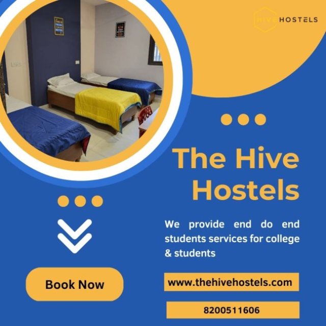 The Hive Hostels
