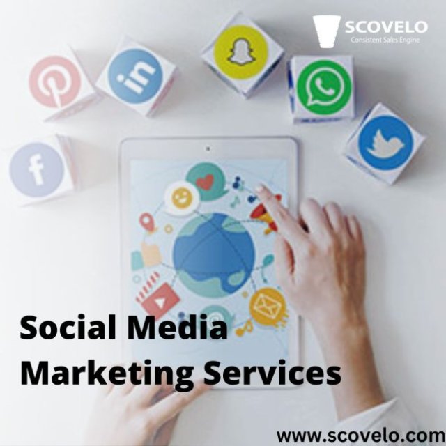 Scovelo Consulting - Social Media Management Agency