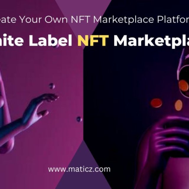 Start your NFT  Business by Creating your Own NFT Marketplace