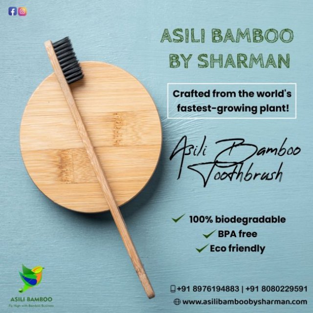 ASILI Bamboo By Sharman