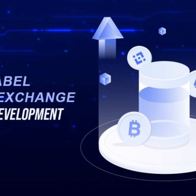 White-Label Crypto Exchange Software: Create A Highly Efficient Custom Crypto Trading Platform