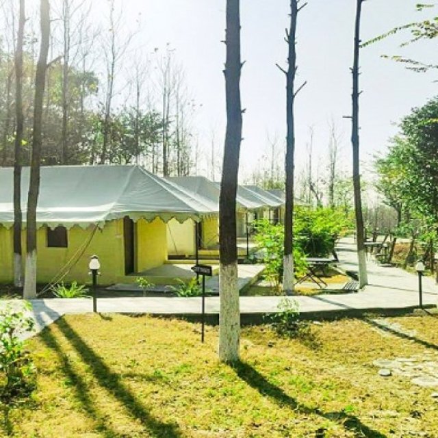 Best Cottages in Dharamshala-Cottages in Dharamshala