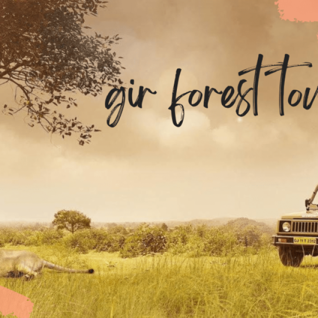 Gir Forest Tour