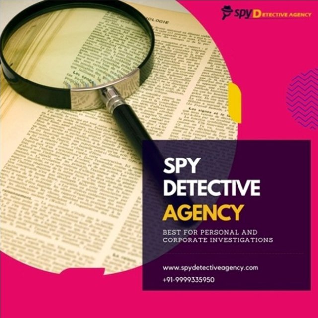 Spy Detective Agency