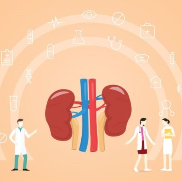 Best Kidney Treatment in India