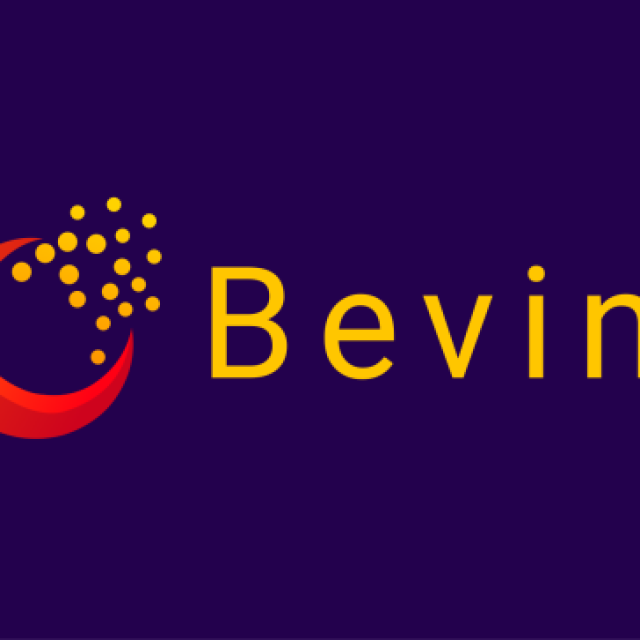 Bevinzey LLC