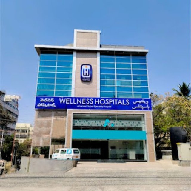 wellness hospitals
