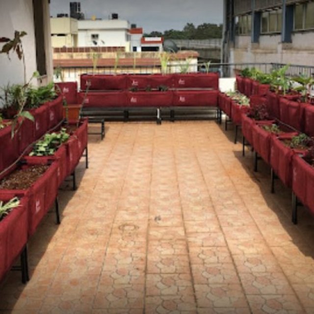 Karat Farms-Best Gardening Services in Bangalore | Landscaping Company | Garden Designer | Online Nursery in Bangalore