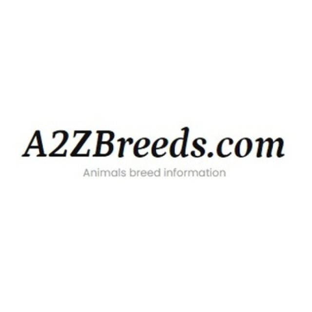A2zbreeds.com