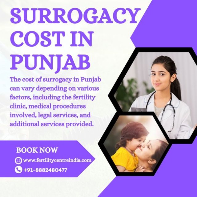 Best Surrogacy Centre in Punjab