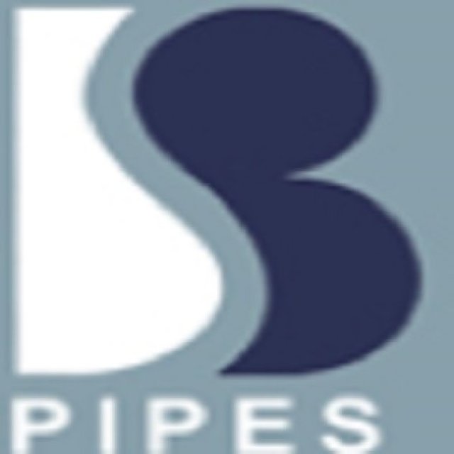 Bhushan Pipes